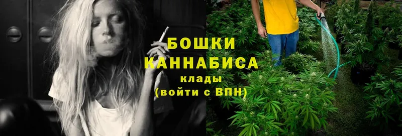 Канабис Amnesia  купить наркотик  ОМГ ОМГ как войти  Подпорожье 